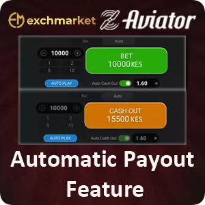 Automatic Payout Feature