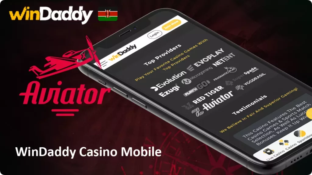 WinDaddy Casino Mobile Accessibility